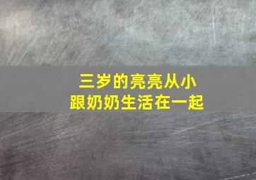 三岁的亮亮从小跟奶奶生活在一起