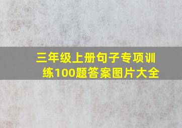 三年级上册句子专项训练100题答案图片大全