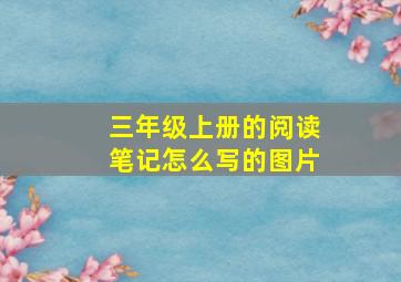 三年级上册的阅读笔记怎么写的图片