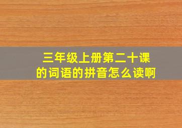 三年级上册第二十课的词语的拼音怎么读啊