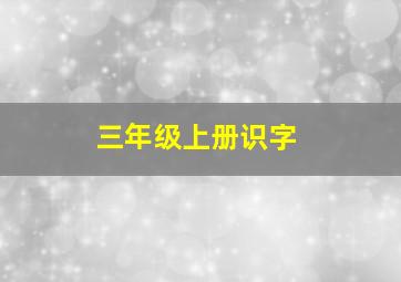 三年级上册识字