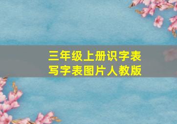 三年级上册识字表写字表图片人教版