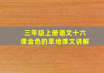 三年级上册语文十六课金色的草地课文讲解