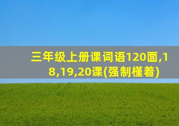 三年级上册课词语120面,18,19,20课(强制槿着)