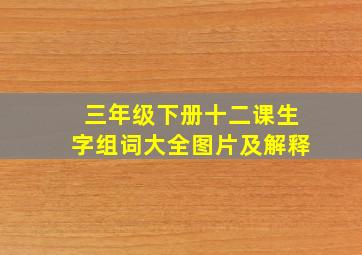 三年级下册十二课生字组词大全图片及解释