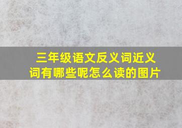 三年级语文反义词近义词有哪些呢怎么读的图片