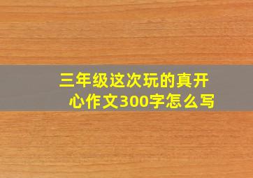 三年级这次玩的真开心作文300字怎么写