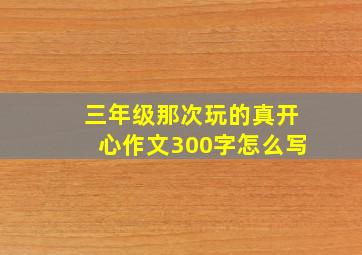 三年级那次玩的真开心作文300字怎么写