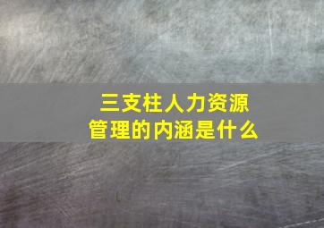 三支柱人力资源管理的内涵是什么