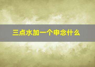 三点水加一个申念什么