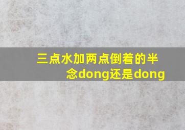 三点水加两点倒着的半念dong还是dong