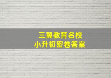 三翼教育名校小升初密卷答案