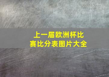 上一届欧洲杯比赛比分表图片大全