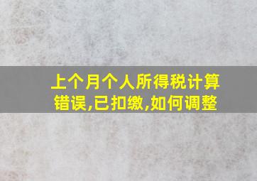 上个月个人所得税计算错误,已扣缴,如何调整