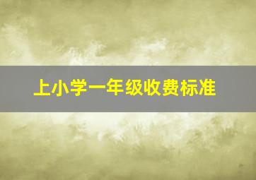 上小学一年级收费标准