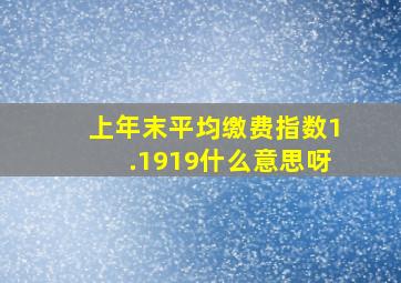 上年末平均缴费指数1.1919什么意思呀