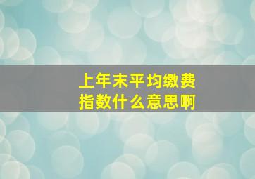 上年末平均缴费指数什么意思啊