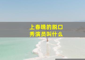 上春晚的脱口秀演员叫什么