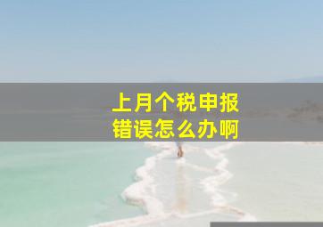 上月个税申报错误怎么办啊