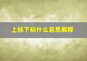 上标下标什么意思解释