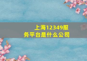 上海12349服务平台是什么公司