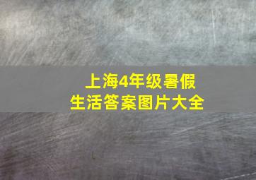 上海4年级暑假生活答案图片大全