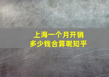 上海一个月开销多少钱合算呢知乎