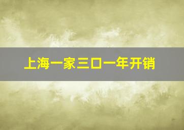 上海一家三口一年开销