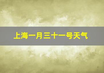 上海一月三十一号天气