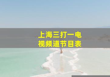 上海三打一电视频道节目表