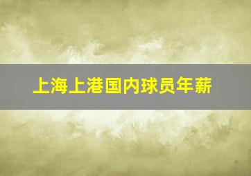 上海上港国内球员年薪