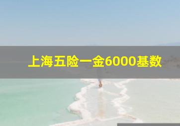 上海五险一金6000基数