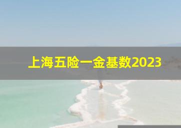 上海五险一金基数2023