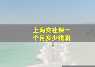 上海交社保一个月多少钱啊