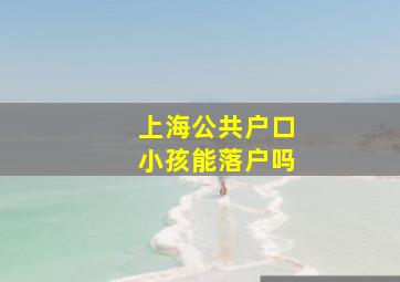 上海公共户口小孩能落户吗