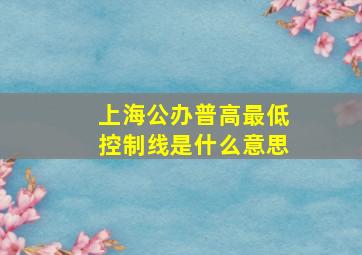 上海公办普高最低控制线是什么意思