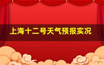 上海十二号天气预报实况