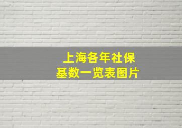 上海各年社保基数一览表图片