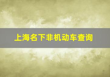 上海名下非机动车查询