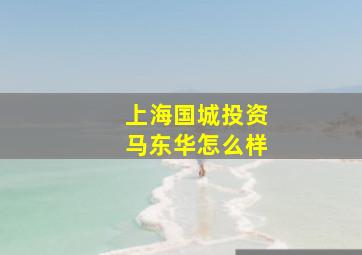 上海国城投资马东华怎么样