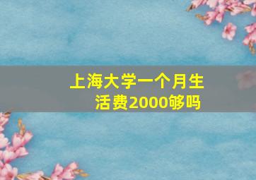 上海大学一个月生活费2000够吗