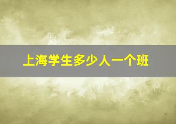 上海学生多少人一个班