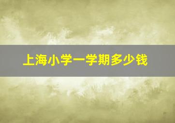 上海小学一学期多少钱