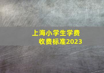 上海小学生学费收费标准2023