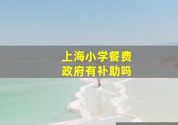 上海小学餐费政府有补助吗