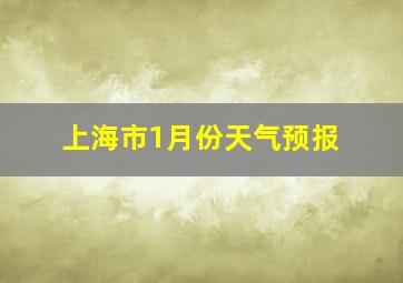 上海市1月份天气预报