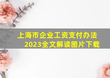 上海市企业工资支付办法2023全文解读图片下载