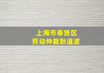 上海市奉贤区劳动仲裁耿道波