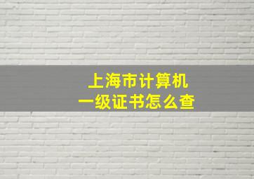 上海市计算机一级证书怎么查