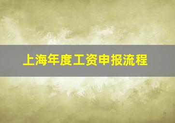 上海年度工资申报流程